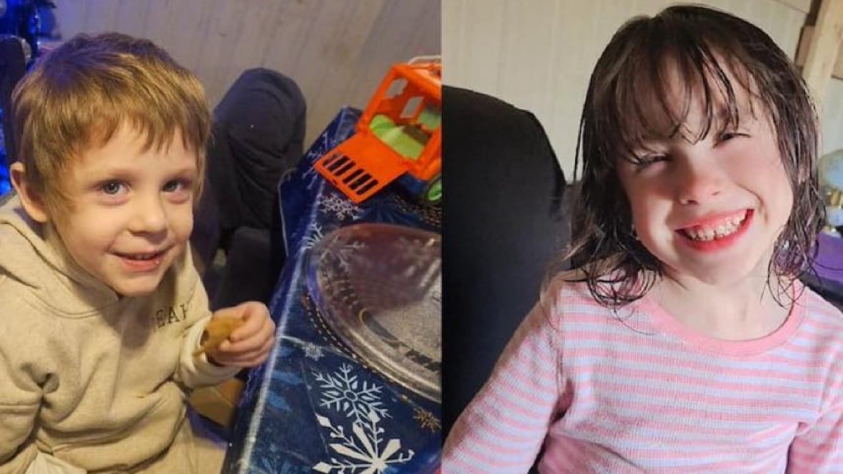 Court documents shed new light on case of missing N.S. children