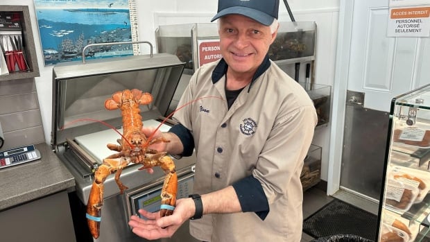 A man smiles at the camera while holding an orange coloured lobster