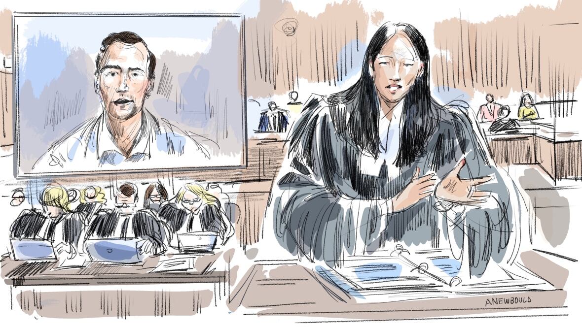 A court sketch of a lawyer questioning a witness who is testifying via video link.