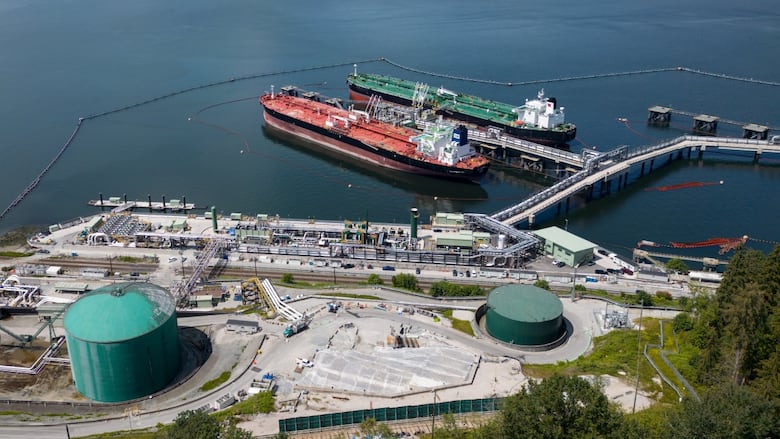 A June 10, 2024 record  photograph  shows 2  crude lipid  tankers docked astatine  a marine terminal successful  Burnaby, B.C.