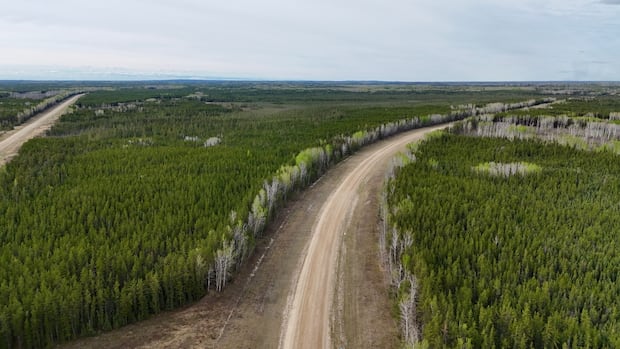 Candle Lake on edge as wildfires cast shadow over important May long weekend