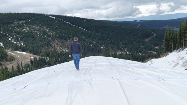The surprisingly low-tech way a B.C. ski resort is saving its snow
