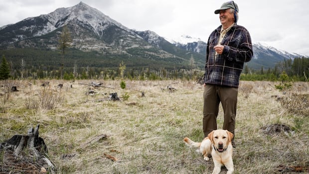 Logging, pruning and anxiety in Banff ahead of first summer since Jasper wildfire