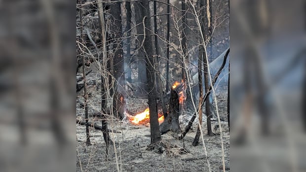 Lac du Bonnet wildfire evacuees return but for many, 'their world has changed'