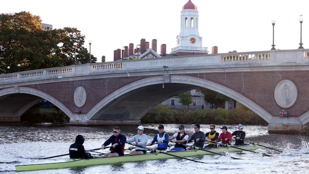 Trump's Harvard visa threat could wipe out several of the school's sports teams