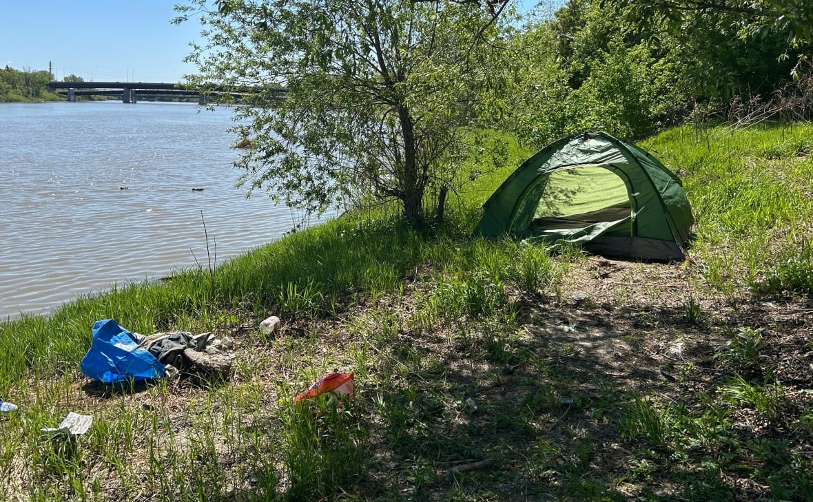 A structure   connected  a riverbank adjacent   immoderate   trees.