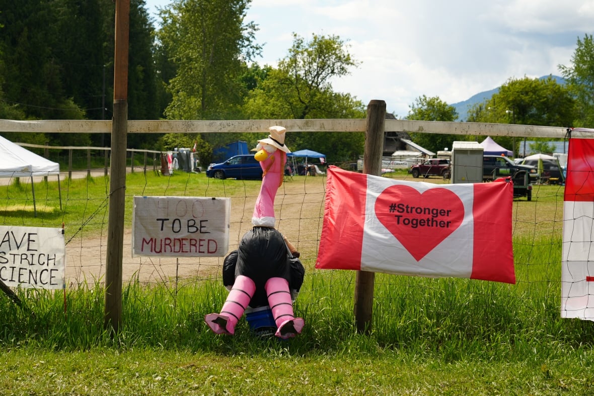 Signs saying, Stronger Together, and an inflatable ostrich lean against a wire fence.