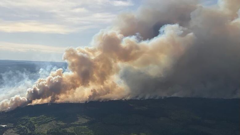 A aerial presumption    of a wildfire successful  the forest. Smoke billows implicit    the skyline. 