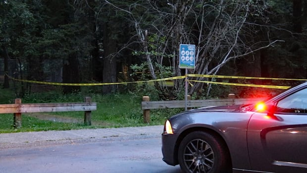 Teen dies after reported stabbing in Abbotsford, B.C., park, police say