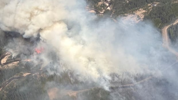 Wildfire SWF076, located 8 km north of Swan Hills, is classified as out of control. Firefighters, helicopters, airtankers and heavy equipment operators are working to contain this fire. While the fire is currently burning away from the town, conditions could change. A smoky landscape of forest. An aerial view of a forest fire.