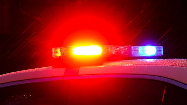 Linsday, Ont. man charged after allegedly assaulting home intruder, police say | CBC News