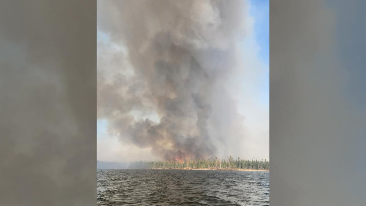Smoke and fire as seen from a treeline as seen from the shore of a lake