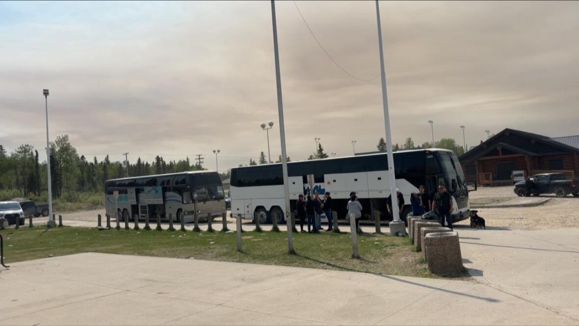 2 ample  buses