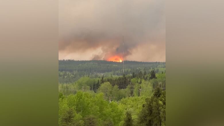 The orangish  glow of a wildfire is seen successful  the backmost  of a wood  with a plume of fume  billowing to the sky.