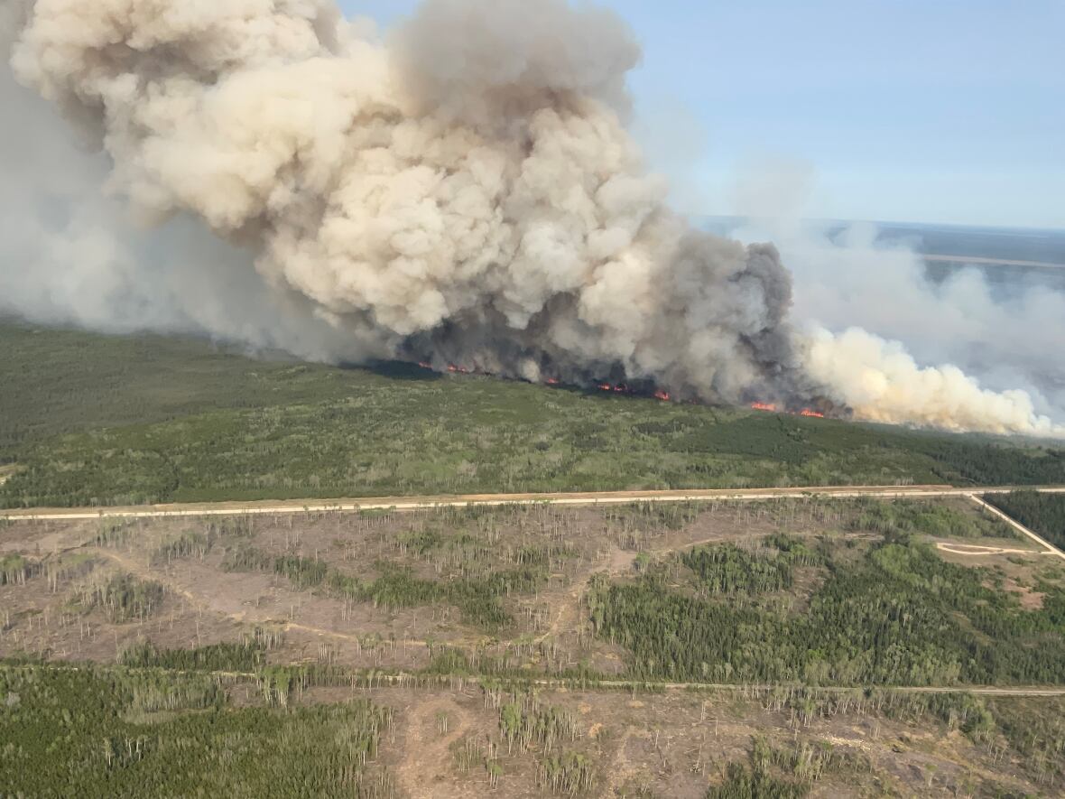 A plume of fume  billows from a wildfire connected  a forest.