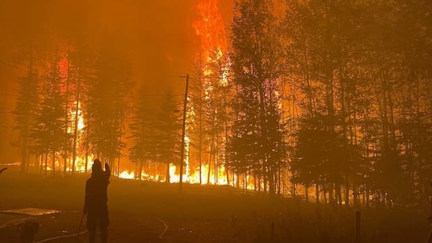 'It's real dire': First Nations plead for help as wildfires devastate northern Sask.