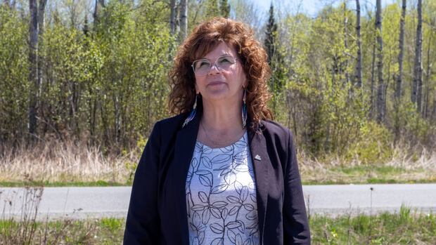 In the centre of Ontario's drug crisis, Fort William First Nation fights for new facility