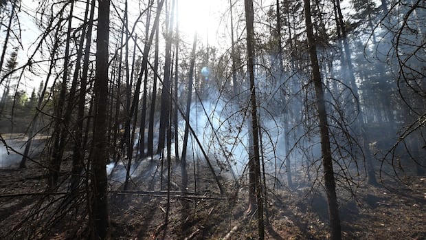 First Nation chiefs share safety concerns amid wildfire evacuations in northwestern Ontario