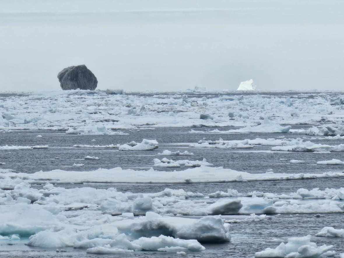A pitch-black diamond shaped iceberg floats in the distance surrounded by other icebergs and chunks of floating ice.  