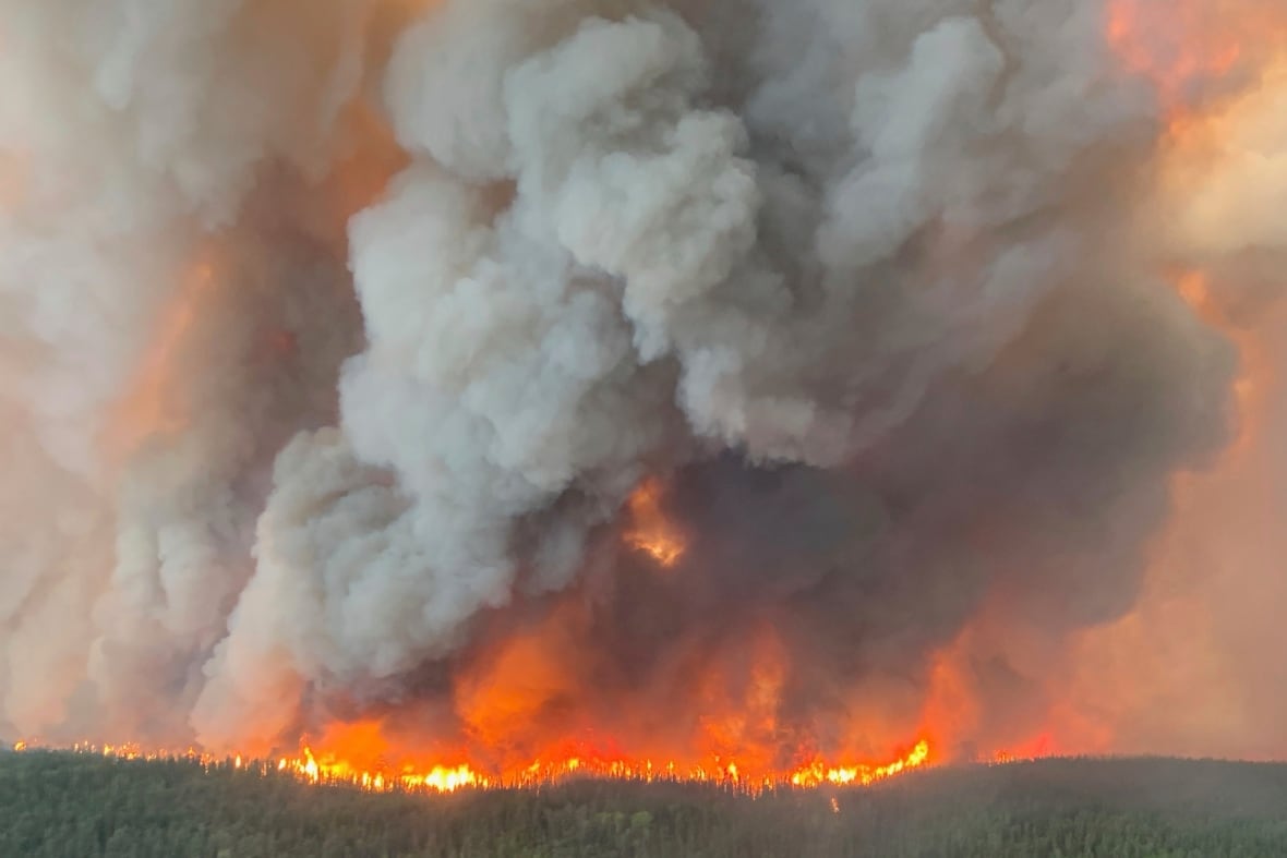 Una imagen aérea muestra un bosque en llamas y una densa columna de humo elevándose en el aire.