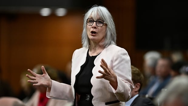 Jobs Minister Patty Hadju told CBC's The House the announcement is 'late breaking news' but important to help with the urgency of young people finding work this summer. A white woman with grey hair wearing a pink jacket stands in the House of Commons.