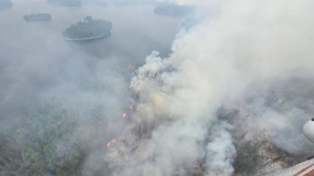 Choppers, dozers and railway workers: on the front lines of the Manitoba wildfire fight