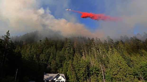 Squamish wildfire grows in size, but officials say conditions improving