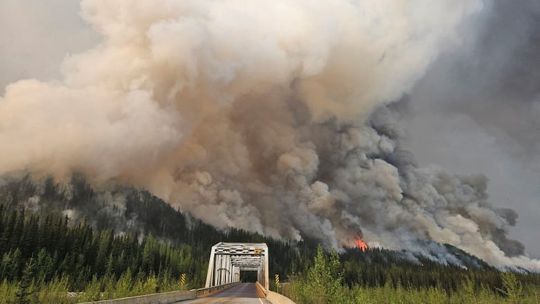 A cloud of smoke rises over a bridge.