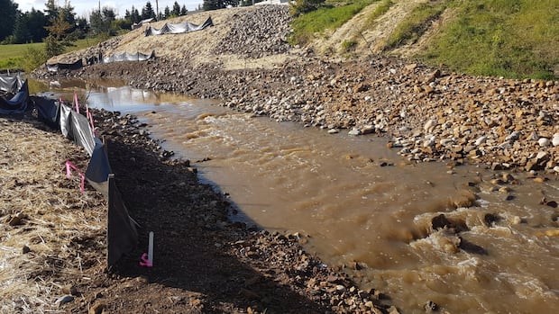 City of Dawson Creek warns residents to prepare for floods even as wildfires loom