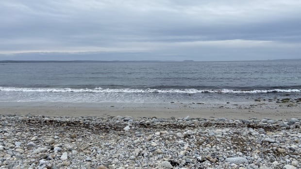 Researchers at Dalhousie University have found that the biomass of two major types of phytoplankton in the North Atlantic have decreased by up to two per cent each year over 60 years. A photo of the ocean shows a cloudy blue sky, blue-grey water, brown sand and a pebbled beach.