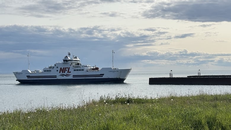 A boat with the letters 'NFL' displayed on the side approaches shore.