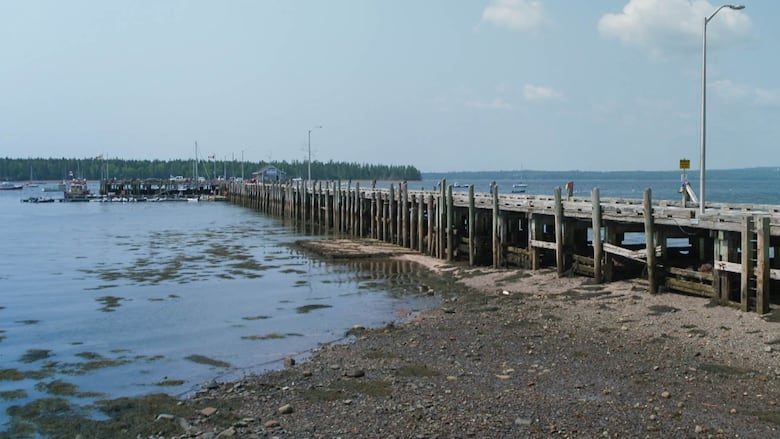 A wharf stretches out to the sea.