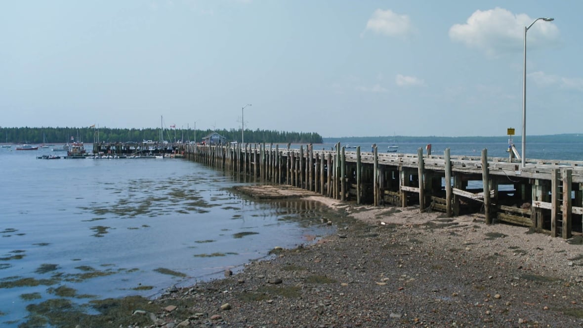 A wharf stretches out to the sea.