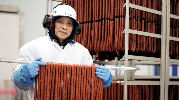 Hot diggity dog! From Harvest Meats to canola, food businesses are at heart of Yorkton
