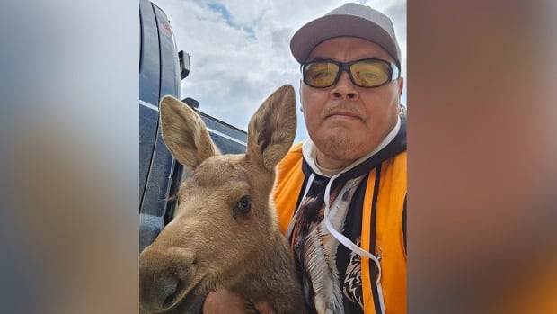 Village of Pelican Narrows Mayor Ovide Michel with a moose calf that crews found during firefighting operations in the area in June 2025. A man in a hat and sunglasses holds a moose calf.