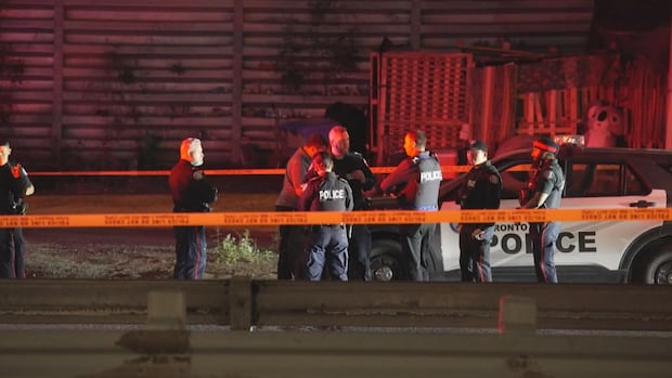 Man, 21, charged with armed carjacking after fall from Gardiner Expressway, police say | CBC News