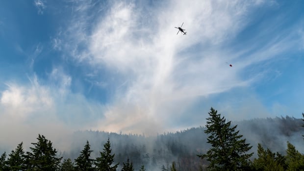 Alerts lifted as favourable weather helps B.C. wildfire fight
