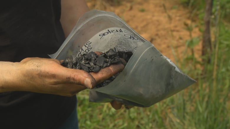 A hand scoops up bits of charred wood from a ziploc bag