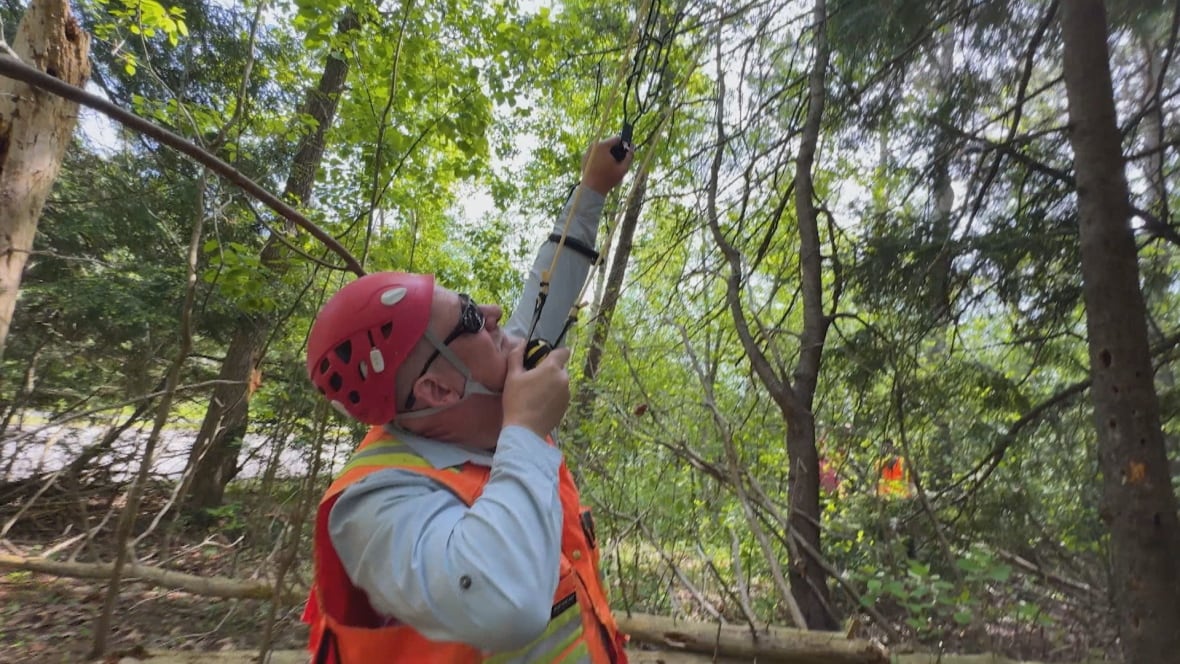 A man fires a slingshot into the canopy