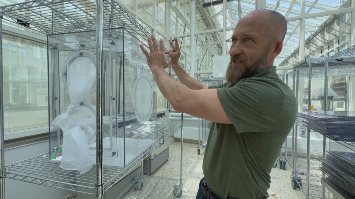 A man gestures towards an apparatus