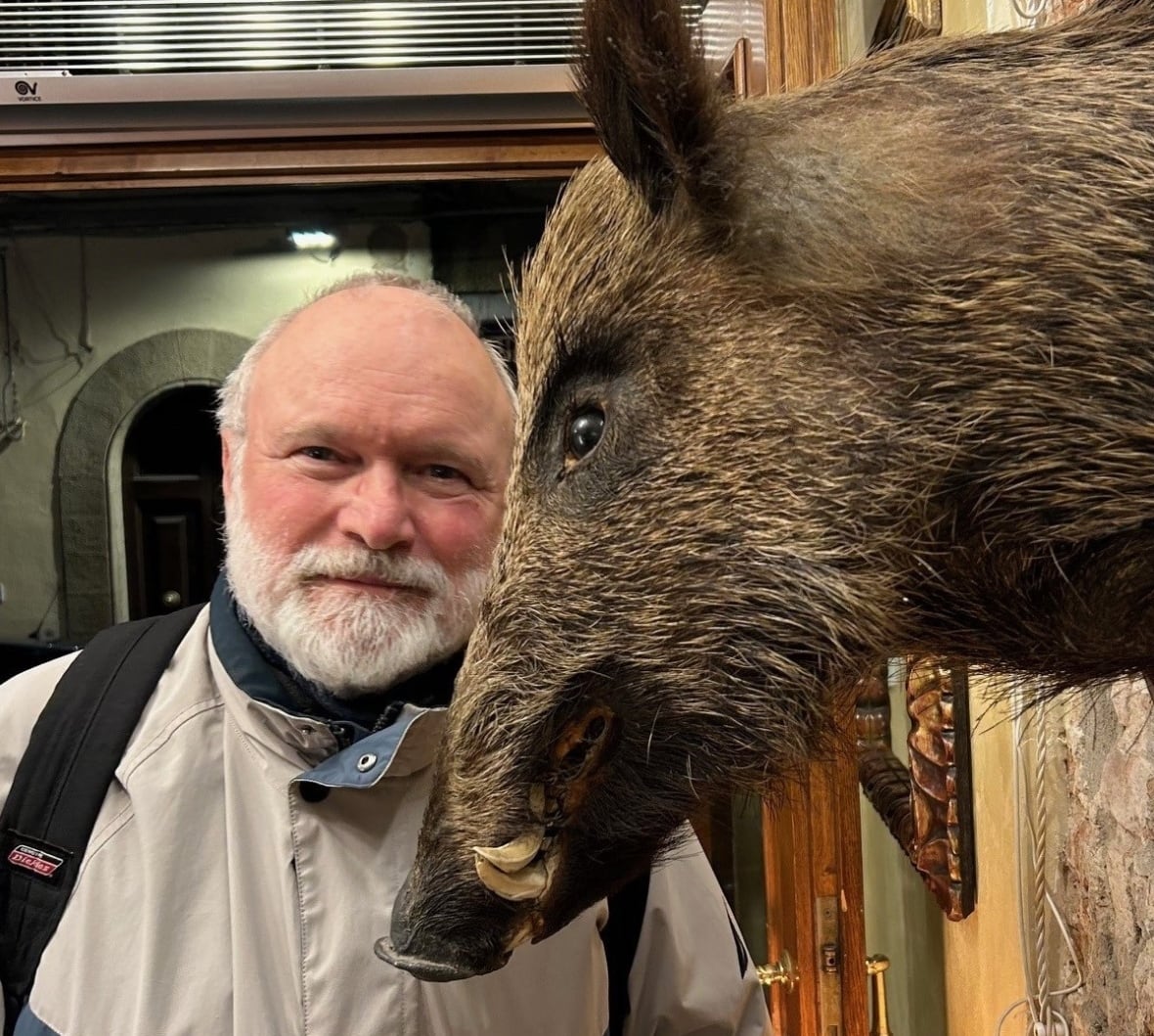 A man in a white and blue winter coat posing next to a mounted boar head on a wall. 