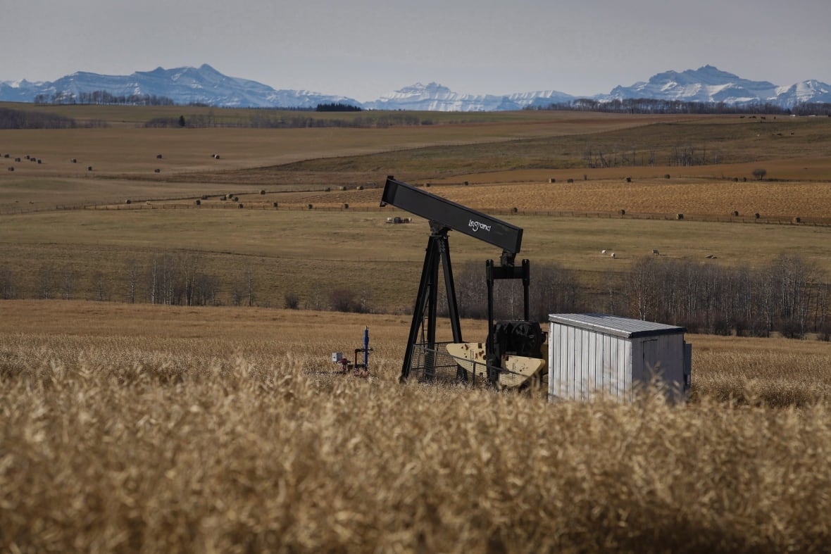 A de-commissioned pumpjack is shown at a well head on an oil and gas installation near Cremona, Alta., Saturday, Oct. 29, 2016. The group tasked with cleaning up Alberta's thousands of abandoned energy facilities says the province's rules for ensuring polluters clean up their wells before selling them off are "inadequate." THE CANADIAN PRESS/Jeff McIntosh