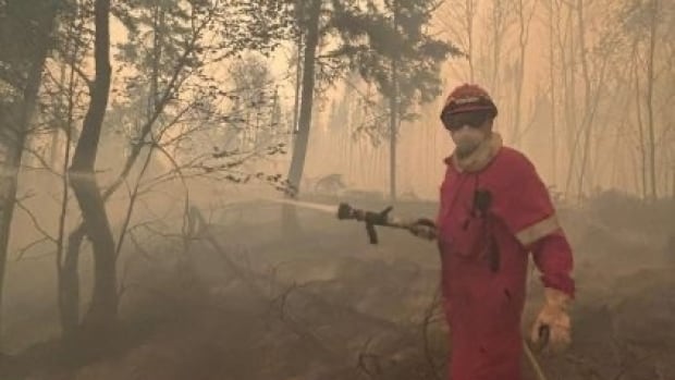 A wildfire fighter hoses down a forested area.