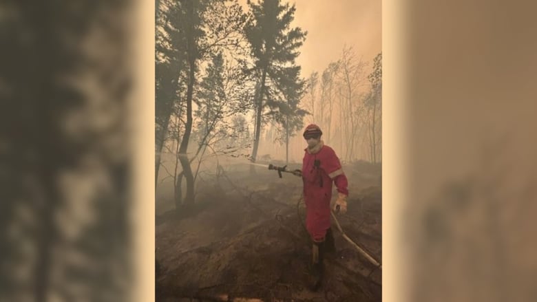 A wildfire fighter hoses down a forested area.