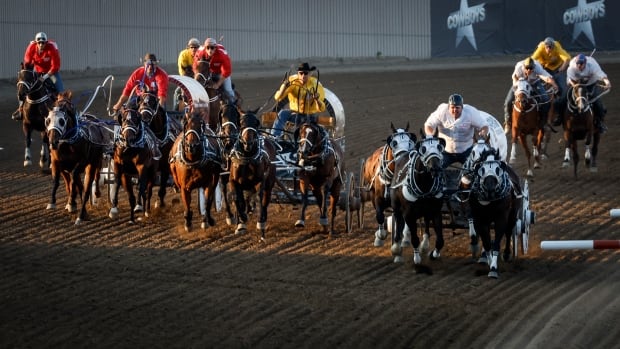 Chuckwagon race.