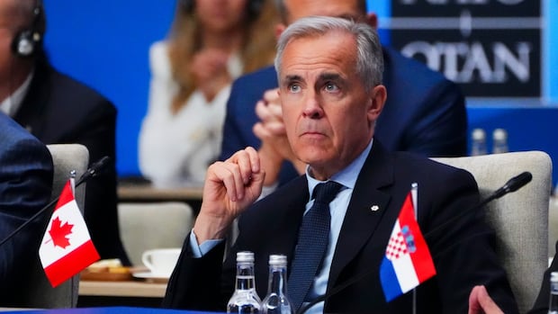 Canada promises to spend 5% of GDP on defence by 2035 in pact with NATO leaders
