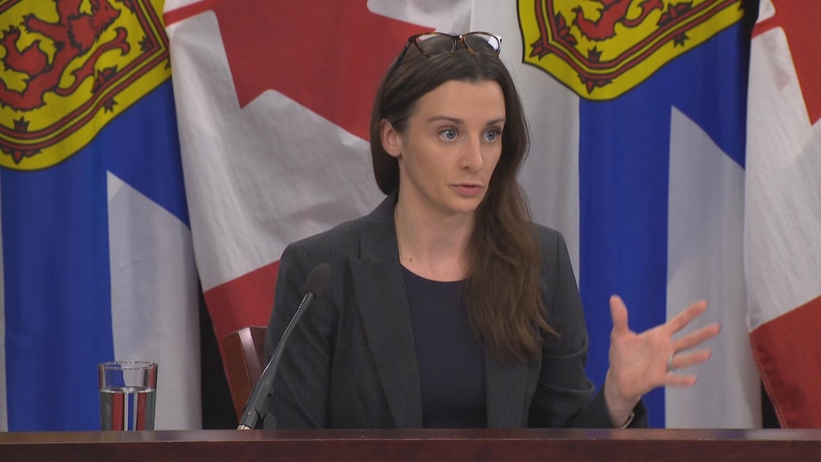 A woman in a dark blazer and dark shirt sits behind a table in front of a backdrop of Canadian and Nova Scotian flags, speaking and gesturing with her hands.
