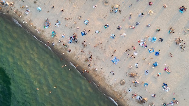 Where to find Toronto's best swimming spots this summer | CBC News