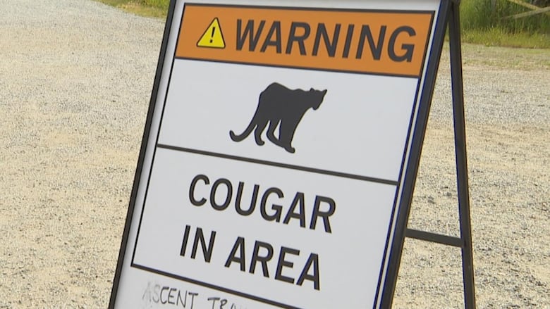A sign reads 'Warning Cougar In Area' and says the ascent trail and all bike trails are closed.
