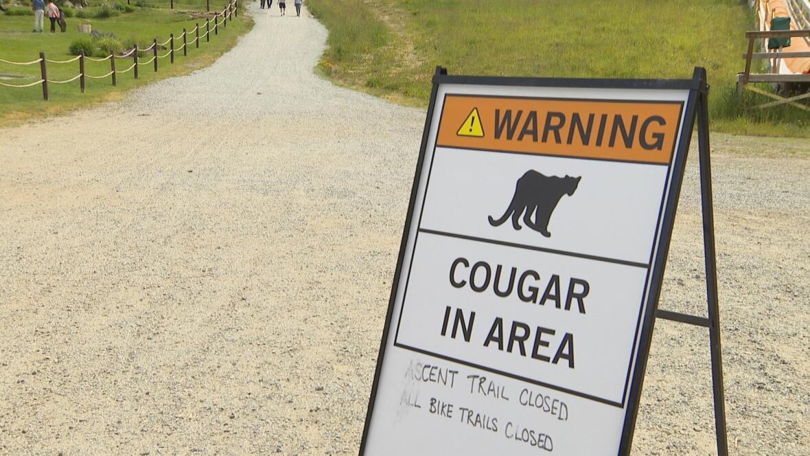 A sign reads 'Warning Cougar In Area' and says the ascent trail and all bike trails are closed.